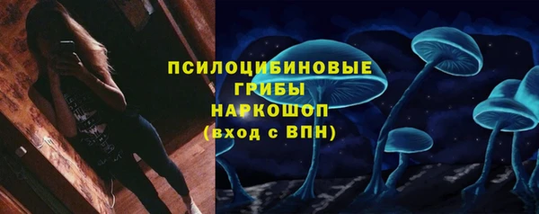 гашик Абинск