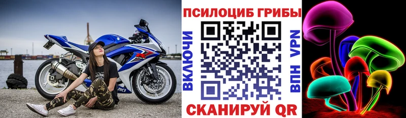 Галлюциногенные грибы ЛСД закладка нарко площадка официальный сайт Шахунья